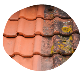 Couvreur 6 Couvreur 6